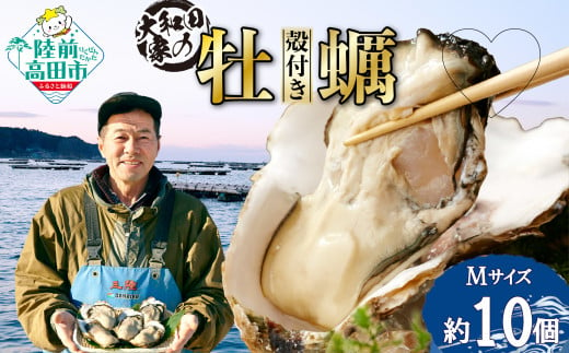 大和田家の殻付き牡蠣［Mサイズ／10個］（生食用）【2024年12月から順次発送】