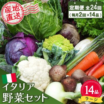 ふるさと納税 神埼市 年間定期便24回 イタリア野菜セットラージ 14品 (H078135)