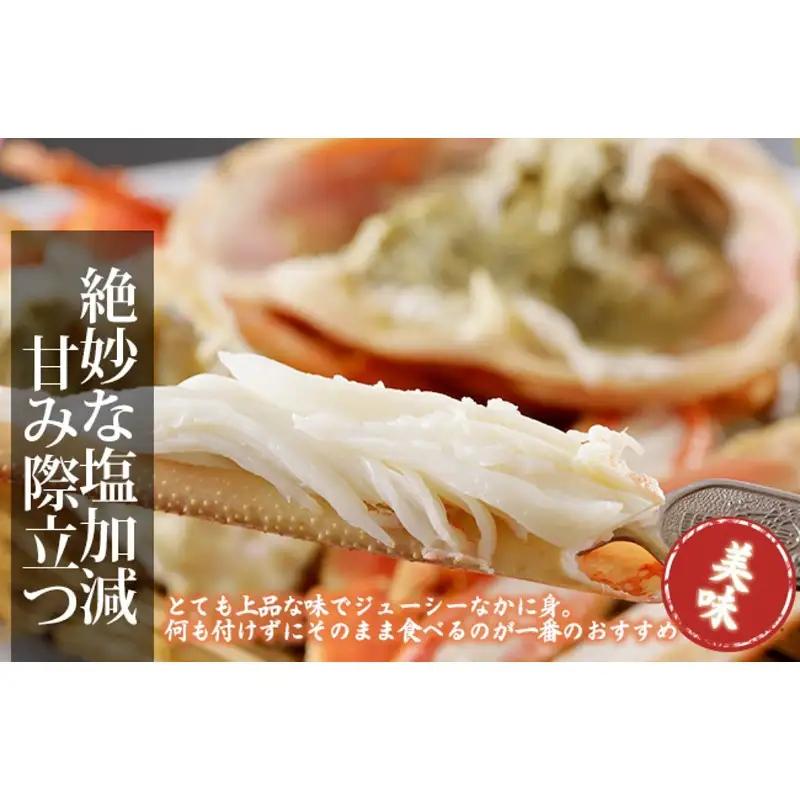 かに卸問屋がお届け・自社釜ゆで！山陰沖ゆで松葉がに 700ｇ～800ｇ 中大サイズ（1月～3月発送）／北畿水産 かに