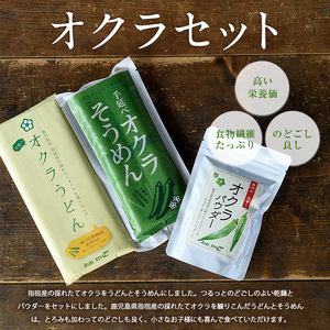 オクラそうめんとオクラうどんとオクラパウダーのセット(アグリスタイル/022-1201) 鹿児島県 指宿市 特産品 オクラパウダー パウダー 粉末 野菜パウダーうどん そうめん おくら オクラ 野菜 