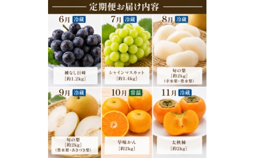 ＜発送月固定定期便＞福岡県　フルーツ6ヶ月定期便(6月～11月)全6回【4090500】