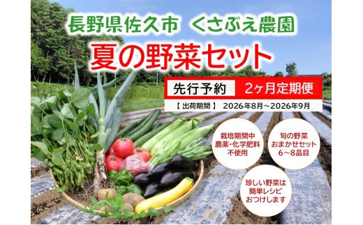 
                  【2ヶ月定期便】くさぶえ農園『夏の野菜6～8品目セット』（2026年8～9月出荷／北海道・沖縄・離島は配送不可）高原 無農薬 産地直送 新鮮 旬彩 簡単レシピ 先行予約 【 産直 高原野菜 季節の野菜 旬の野菜 有機野菜 有機栽培 農薬 化学肥料 不使用 佐久市 】
                