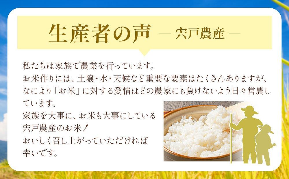 先行予約〈2回定期便〉北海道八雲町熊石産 令和6年産ゆめぴりか(精白米) 5kg 24年10月上旬～発送開始【 北海道八雲町熊石産 ゆめぴりか 5kg 精白米 米 お米 おこめ コメ こめ おうちごは