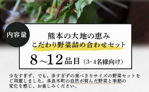 熊本の大地の恵み 旬の こだわり野菜詰め合わせセット 8〜12品 （3〜4名様向け）野菜 獲れたて 新鮮 野菜 セット 詰め合わせ 詰合せ 産地 直送 国産 季節 野菜 家族 ファミリー 多良木町 0