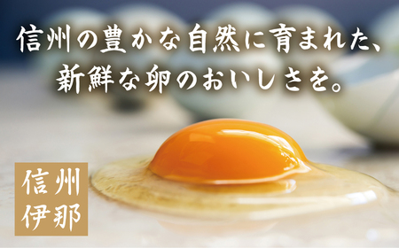 冷凍厚焼玉子　500g×2本入り｜卵 冷凍 卵焼き 厚焼玉子 和食 食品 おかず 伊那 長野県 信州【009-25】