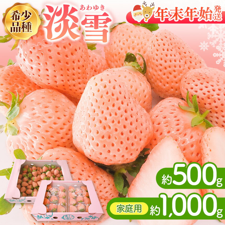 【ふるさと納税】 【 先行予約 】 【 年末年始発送 】ご家庭用 淡雪 約1000g or 淡雪 約500g | いちご 白いちご 淡雪 苺 イチゴ　年末年始発送 果物 フルーツ 産地直送 生産者直送 玉名 熊本 送料無料