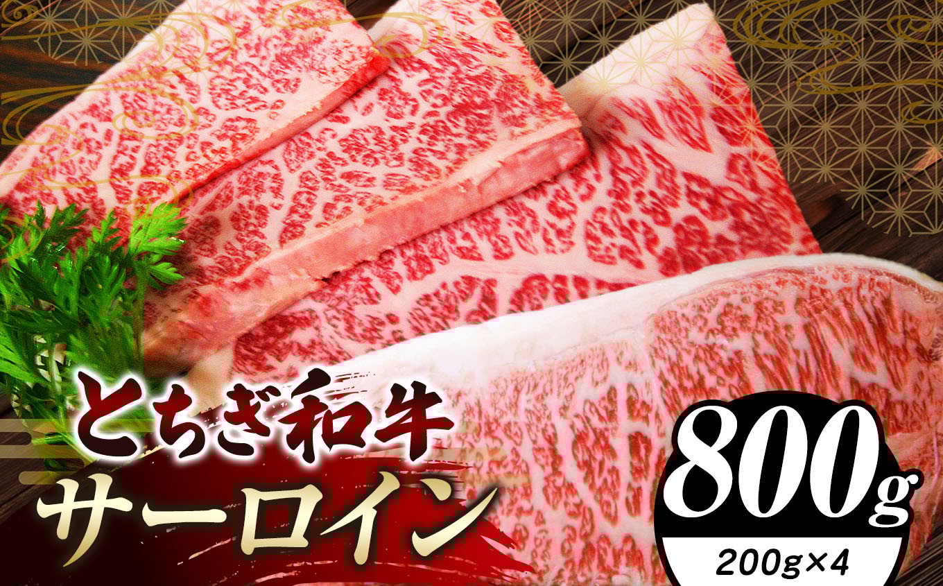 
            栃木県共通返礼品 とちぎ和牛サーロイン 200g×4｜サーロイン 黒毛 和牛 牛肉 焼肉 ステーキ BBQ バーベキュー ブランド和牛 とろける 霜降り 赤身 切り落とし ふるさと 納税 イチオシ おすすめ 栃木県 下野市 しもつけ市
          