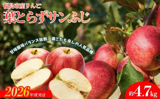 
                  No.1925 ふくしまのりんご 葉取らずサンふじ 贈答用　約4.7kg【2026年度発送】
                