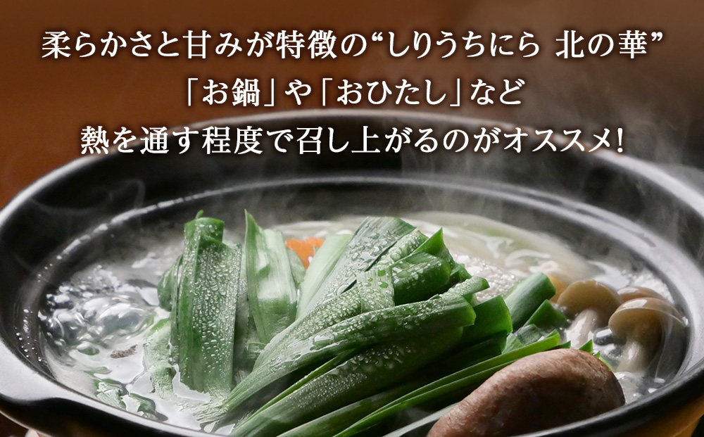 【2026年発送予約】 知内産 一番ニラ「北の華」20束【JA新はこだて】