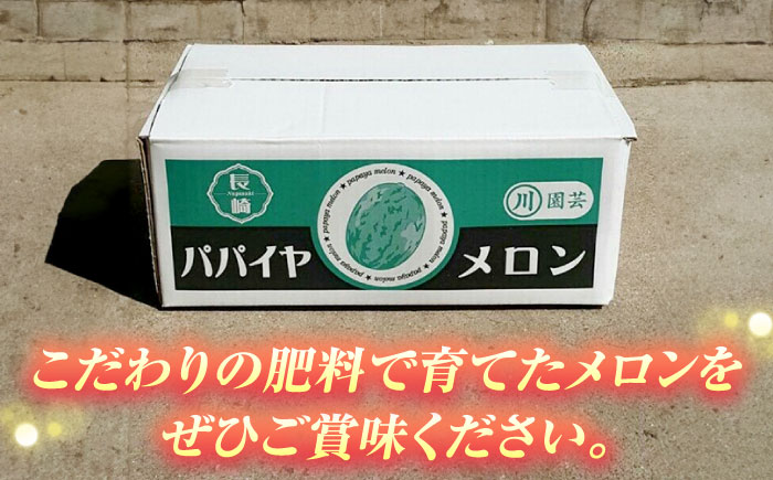 【2025年4月中旬～発送】パパイヤメロン 約5kg（約5～7玉）/ メロン めろん パパイヤメロン 果物 フルーツ / 南島原市 / 長崎県農産品流通合同会社 [SCB086]