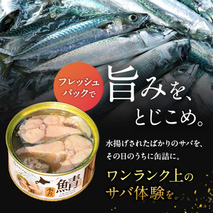 北海道オホーツク枝幸産 さば水煮 缶詰170g×10個 水揚げ当日フレッシュパック！［海洋食品］【 さば サバ サバ缶 缶詰 新鮮 惣菜 保存 長期 加工食品 魚貝 魚介 北海道 オホーツク 枝幸 】