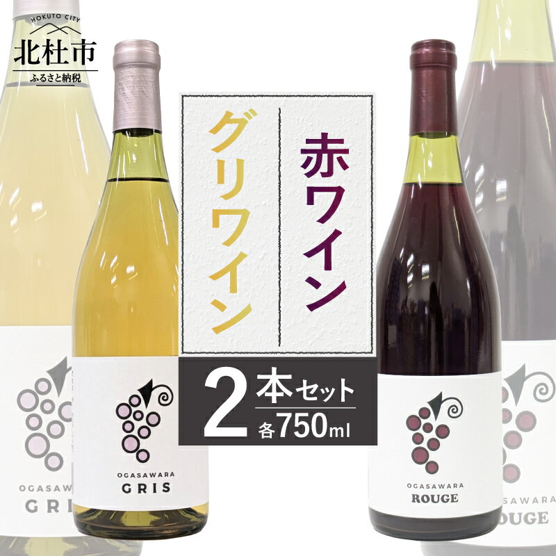 【ふるさと納税】 ワイン 赤ワイン 白ワイン グリワイン 750ml 2本 セット 辛口 数量限定 アルコール 10％ 8％ マスカットベーリーA 飲み比べ ご褒美 肉料理 パスタ 魚料理 マリネ 酒 国産 記念日 贈り物 ギフト 山梨県 北杜市 小笠原ワイナリー 小笠原ファーム 送料無料
