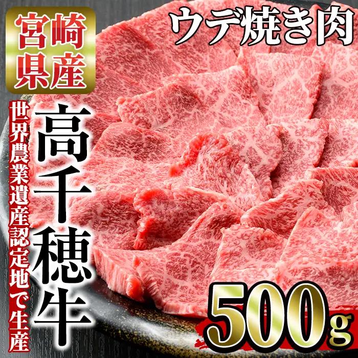 高千穂牛 ウデ焼き肉(500g)【MT001】【JAみやざき 高千穂牛ミートセンター】