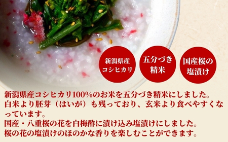 桜がゆ 250g×10個入 お粥 レトルト | 新潟県 おかゆ