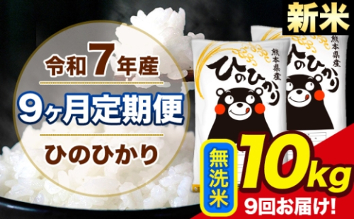 新米 令和7年産 【9ヶ月定期便】 ひのひかり 無洗米 10kg 5kg×2袋 計9回お届け 熊本県産 こめ コメ 精米 荒尾市 ひの 米 定期 《お申込み翌月から出荷》