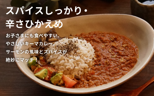 絹姫サーモン 奥三河おさかなキーマカレー ６個セット カレー ご当地カレー レトルトカレー 珍しいカレー 魚カレー 魚 サーモン サーモンカレー レトルトカレー インスタントカレー 鮭 常温 食品 非