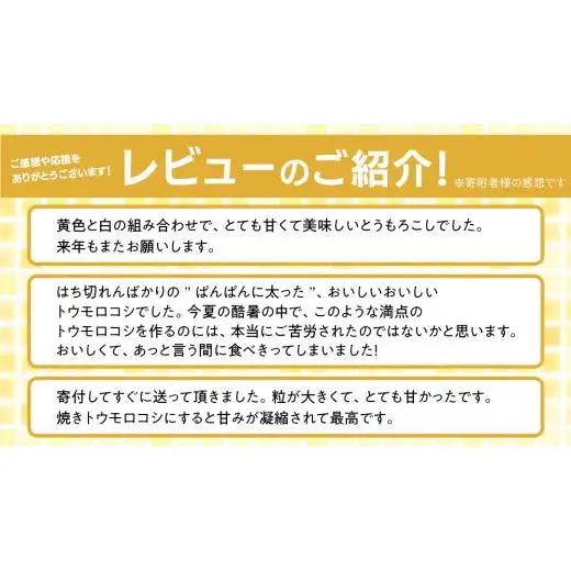 【 7月中旬発送開始 】 嬬恋産 とうもろこし ドルチェドリーム 約2kg（4本） [AT001tu]