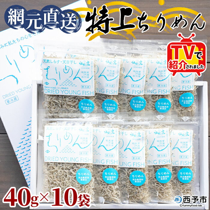 【ふるさと納税】TVで紹介！＜天日干し 特上ちりめん 合計400g（40g×10袋）ギフト箱入り＞ テレビ TV じゃこ しらす 小魚 さかな ごはんのお供 贈答 贈り物 御礼 小分け 海鮮 海産物 おつまみ おやつ 産地直送 網元・祇園丸 愛媛県 西予市 【冷蔵】『1か月以内に順次出荷』