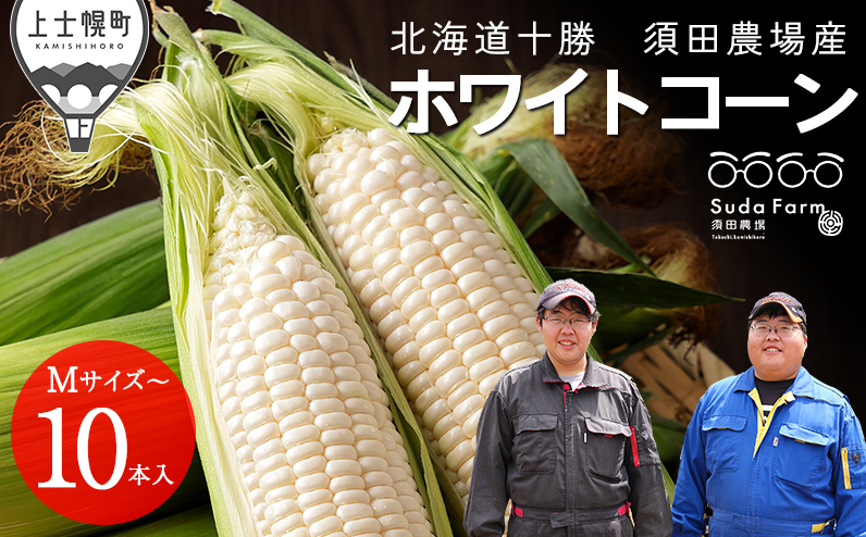 2026年分 先行予約 北海道産 ホワイトコーン 計10本 北海道 上士幌町 須田農場 野菜 白い スイートコーン とうもろこし トウモロコシ 産地直送 冷蔵便 ◆2026年08月配送予定