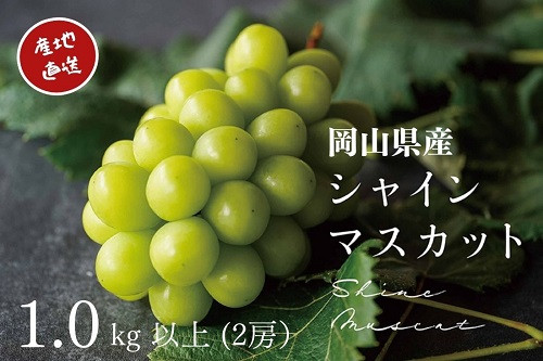 
KGF-1.厳選　岡山県産　シャインマスカット　1.0㎏以上　2房　産地直送　朝採れ
