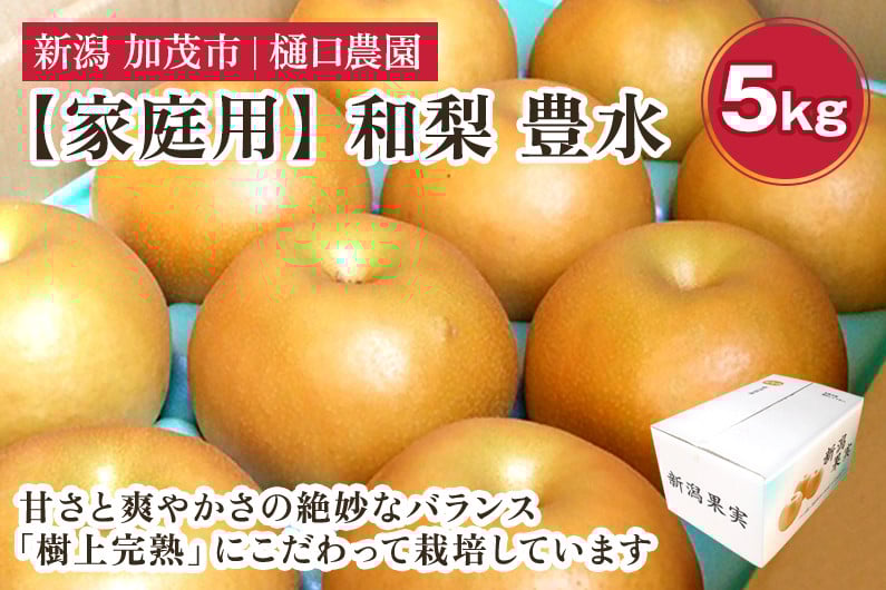 
            【2026年先行予約】【家庭用】和梨 豊水 5kg（9～14玉）《9月上旬～順次出荷》果物 なし ほうすい 梨 フルーツ 新鮮 ジューシー 産地 加茂市 樋口農園
          