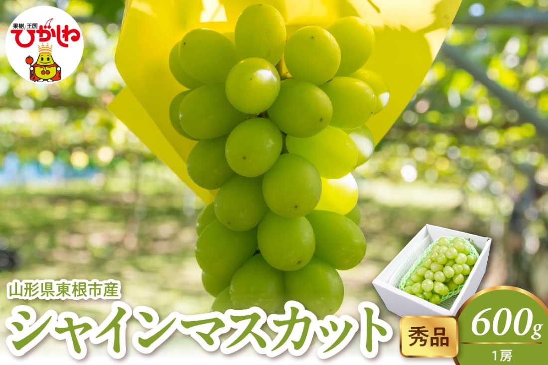 2025年産 シャインマスカット 600g(1房） 秀品 山形県 東根市　hi082-023-2