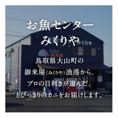 ふるさと納税 日南町 OM-14-2【先行予約】境港水揚げ 訳あり松葉ガニ3kg詰め合わせ(冷凍) |  | 02