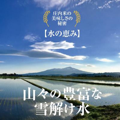 ふるさと納税 酒田市 少量小袋で山形県のお米の食べ【令和7年産】山形県庄内米　つや姫2kgとはえぬき2kg　合計4kg |  | 01