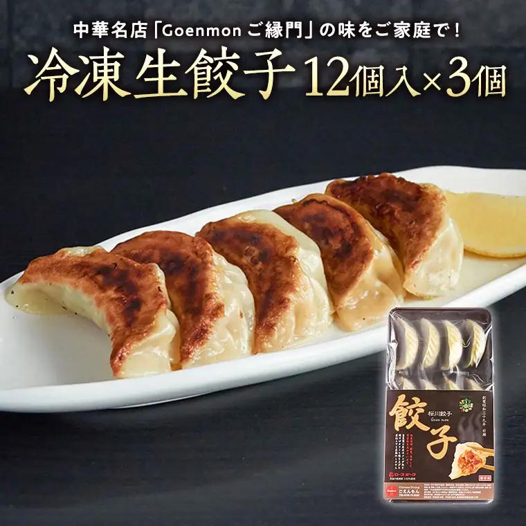 Goenmonの冷凍生餃子 本格 中華 冷凍餃子 生餃子 餃子 ギョウザ 焼餃子 セット お取り寄せ 手包み おつまみ おかず [BK006sa]