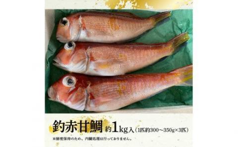 『釣赤甘鯛 Ｂ』_鮮魚鯛さかな九州宮崎川南町新鮮魚介海の幸魚介類たい送料無料魚介 [G4406]