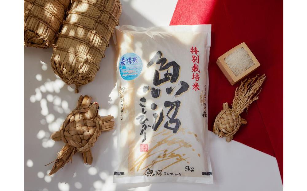 令和7年産先行予約　【定期便３か月コース】無洗米　魚沼産コシヒカリ特別栽培米　5kg×2