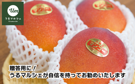 【ふるさと納税】徳田さんの最高級贈答用マンゴー　中玉3個　【2025年発送】