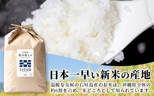 石垣島産 星の美しゃ（ほしのかいしゃ）20kg（5kg×4袋）MK-5
