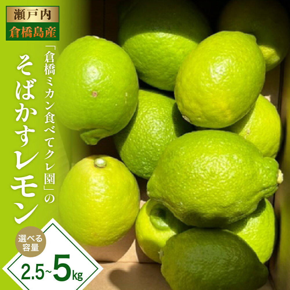 【ふるさと納税】先行予約 瀬戸内特産 そばかすレモン 約2.5kg / 約5kg【2025年11月初旬～発送】れもん 檸檬 柑橘 果物 フルーツ レモネード お取り寄せグルメ 栽培期間中低農薬 防腐剤不使用 ジューシー 果汁 レモン汁 爽やか レモン飲料 産地直送 先行受付 広島県 呉市