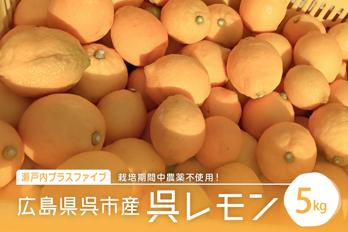 広島県呉市大崎下島産 レモン 約5kg