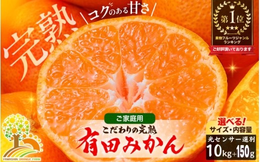 有田 みかん 訳あり 10kg 光センサー 選別 / 温州みかん 有田みかん 甘い 家庭用 和歌山 柑橘 ※12月順次発送 ※北海道・沖縄・離島への配送不可【nuk004-c-10-decH】