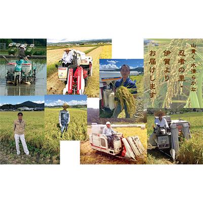 ふるさと納税 伊賀市 【令和7年産】伊賀コシヒカリ特別栽培米「真米(しんまい)」5kg【先行受付】 |  | 02