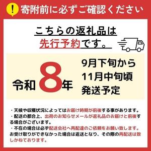 【2026年先行予約】 シャインマスカット 約1kg ≪2026年9月下旬～順次発送≫ 塩尻市産 | シャイン ぶどう 葡萄 ブドウ くだもの 果物 フルーツ マスカット しゃいん ますかっと 先行 