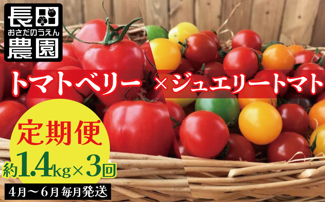 
            夢のコラボ トマトベリー＆ジュエリートマトセットの定期便（4月～6月毎月お届け3回コース）【2025年予約販売】 H004-174
          