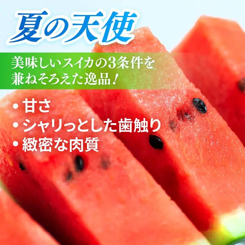 【先行予約】大玉スイカ「夏の天使」 1玉入 （L～2L）抜群の糖度で甘い！／ 期間限定 果物 フルーツ 西瓜 産地直送 ※2026年7月中旬より順次発送 [aw003-a002]