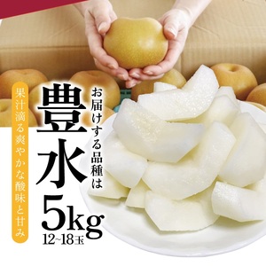 SB0745　刈屋梨　豊水　約5kg(12～18玉入)