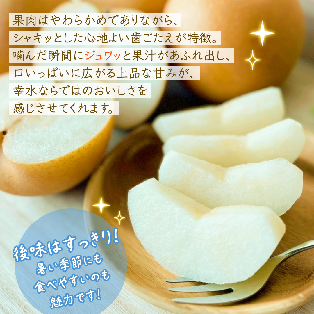 幸水 約3kg【2026年8月より発送開始】（茨城県共通返礼品 [梨]：大子町産） 高糖度 ギフト 贈り物 プレゼント フルーツ なし ナシ 和梨  梨 果実 旬のフルーツ お取り寄せ くだもの 果物