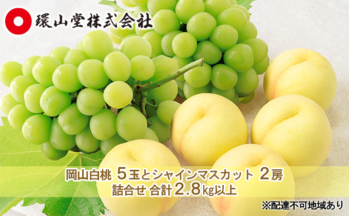 桃 ぶどう 2024年 先行予約 岡山 白桃 5玉とシャイン マスカット 2房 詰合せ 合計2.8kg以上 もも 葡萄 岡山県産 国産 フルーツ 果物 ギフト 環山堂