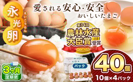【 定期便 3回 】 メディア紹介多数！ 永光卵 【 40個 】 卵 たまご パック | 送料無料 えいこうらん 光永ファーム みつなが おいしい卵 卵かけごはん プリン ゆうパック 君津市 きみつ 千葉県