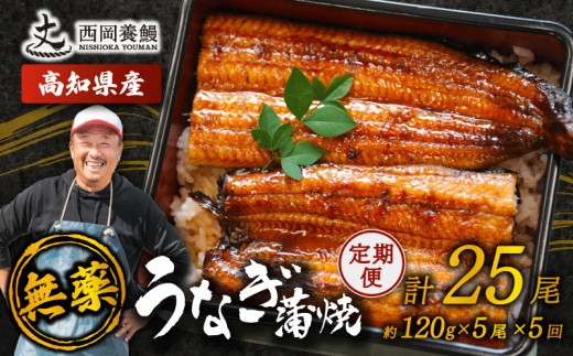 完全無投薬 うなぎ蒲焼 定期便 計25尾 ( 120g × 5尾 × 5回 ) 国産 鰻 厳選 無薬 うなぎ 蒲焼き かば焼き 人気 特製タレ 鰻蒲焼き 湯煎 簡単調理 タレ 山椒 セット 旨味 風味 うな重 土用の丑の日 夏バテ対策 ギフト 贈り物 贈答 お取り寄せ グルメ 高級 うなぎ料理 こだわり うな丼 ひつまぶし 冷凍 高知県産 ランキング おすすめ 西岡養鰻 安芸市 高知県