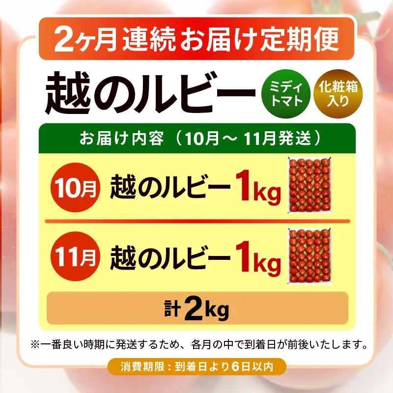定期便 2ヶ月連続お届け フルーツトマト 越のルビー 1kg（10月～11月） 化粧箱入り 2026年10月上旬以降順次発送 とまと 野菜 [A-19106]
