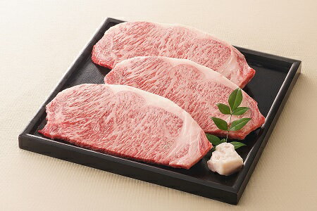 【ふるさと納税】【レビューキャンペーン対象商品】飛騨牛 サーロインステーキ サーロイン 肉 ×3枚（計約600g）