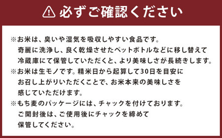 熊本県菊池産 ヒノヒカリ もち麦 セット 計3.2kg 七城物語 高野さんちのもち麦ごはん 自然栽培米