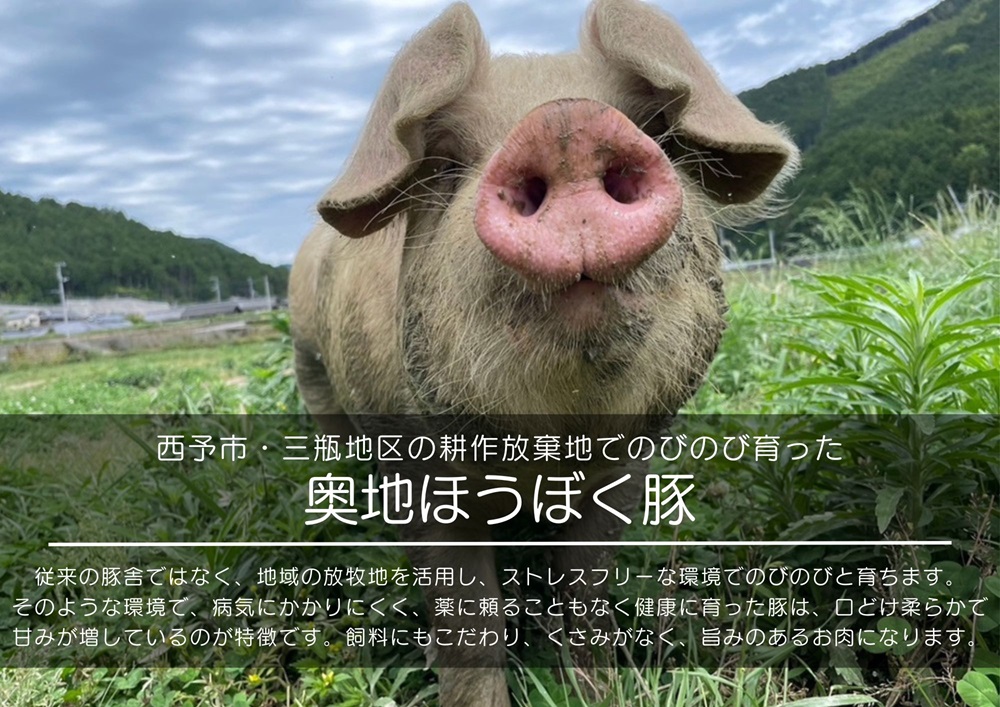 ＜【こだわりの無塩せき】奥地ほうぼく豚を使ったウインナー 2種食べ比べセット 計4袋＞ぶた お肉 加工品 おつまみ おかず チーズフランク ソーセージ 粗びき 粗挽き BBQ アウトドア キャンプ 愛