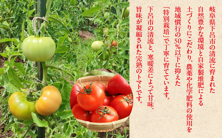 先行予約（2026年7月上旬頃から順次発送）甘塾トマト 麗月 Lサイズ 4kg【119-4】